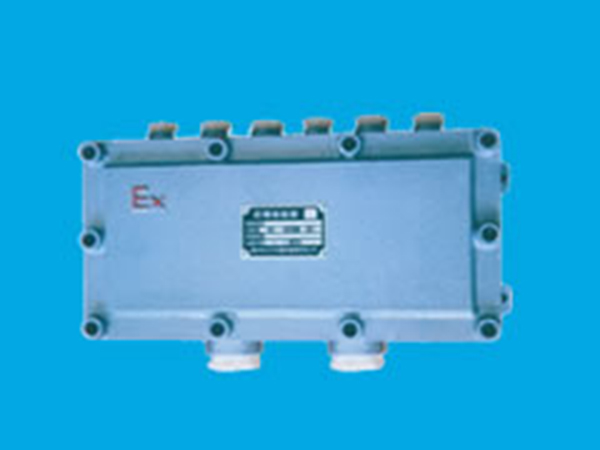 DSB系列防爆接線箱 DSB系列防爆接線箱