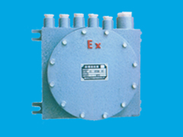 DSG隔爆接線箱 DSG隔爆接線箱